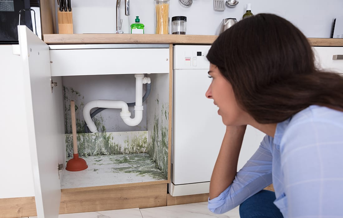 Damp and mold-affected surfaces beneath sink plumbing