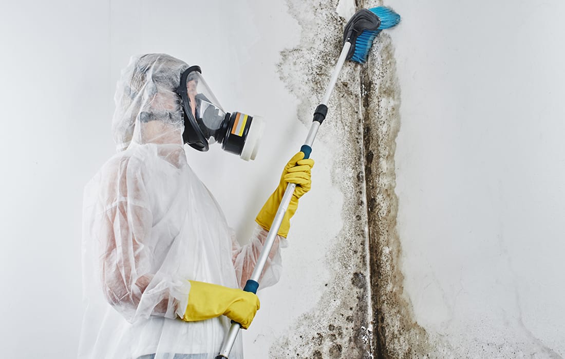 Technician in protective equipment removing mold growth from a wall with a brush