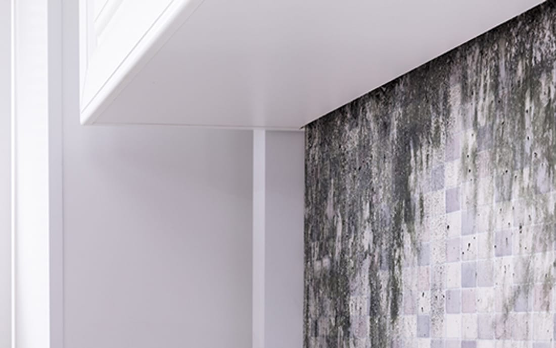 Mold on a tiled bathroom wall near a window